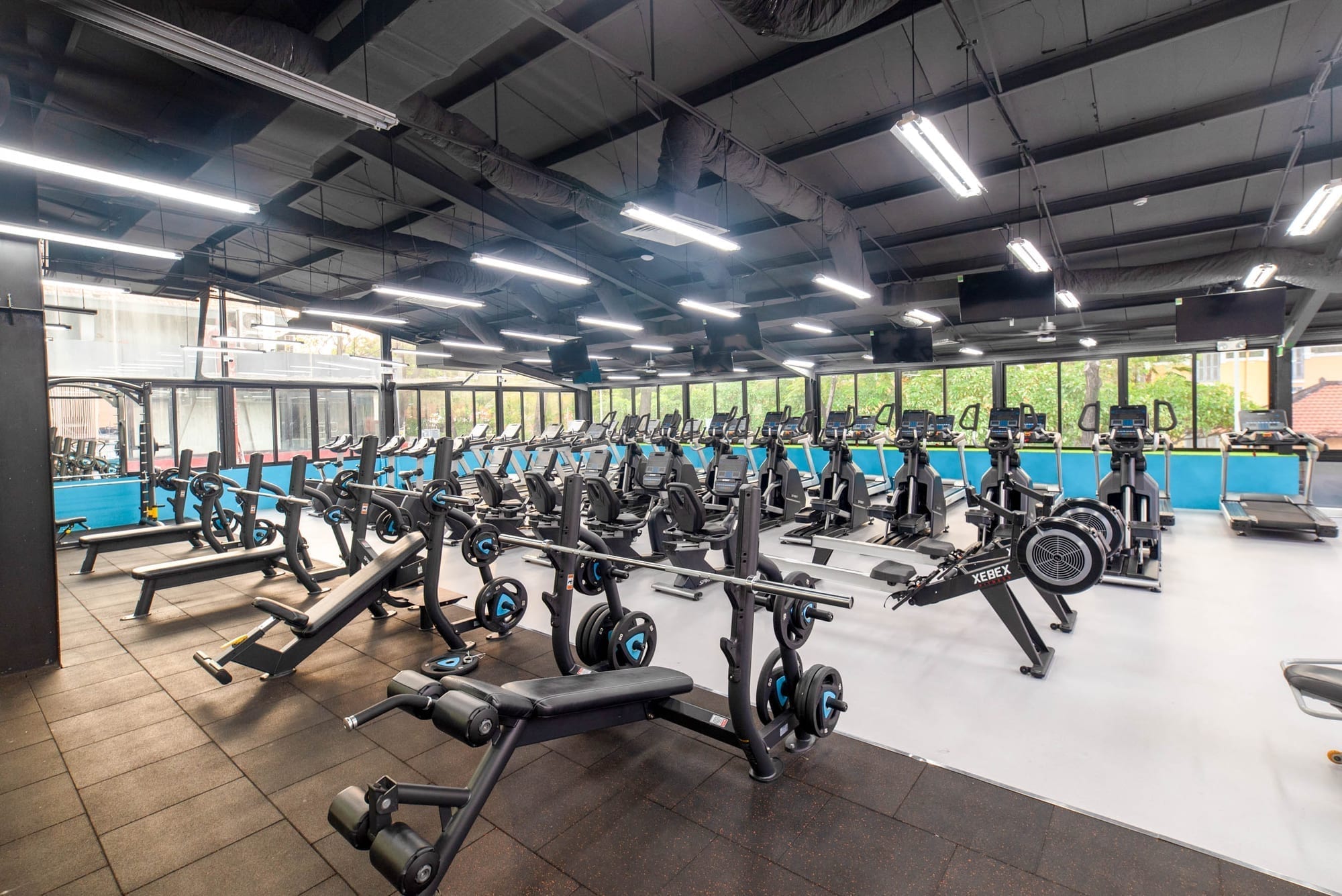 Dãy xe đạp và thiết bị cardio tại The New Gym dưới ánh đèn LED hiện đại